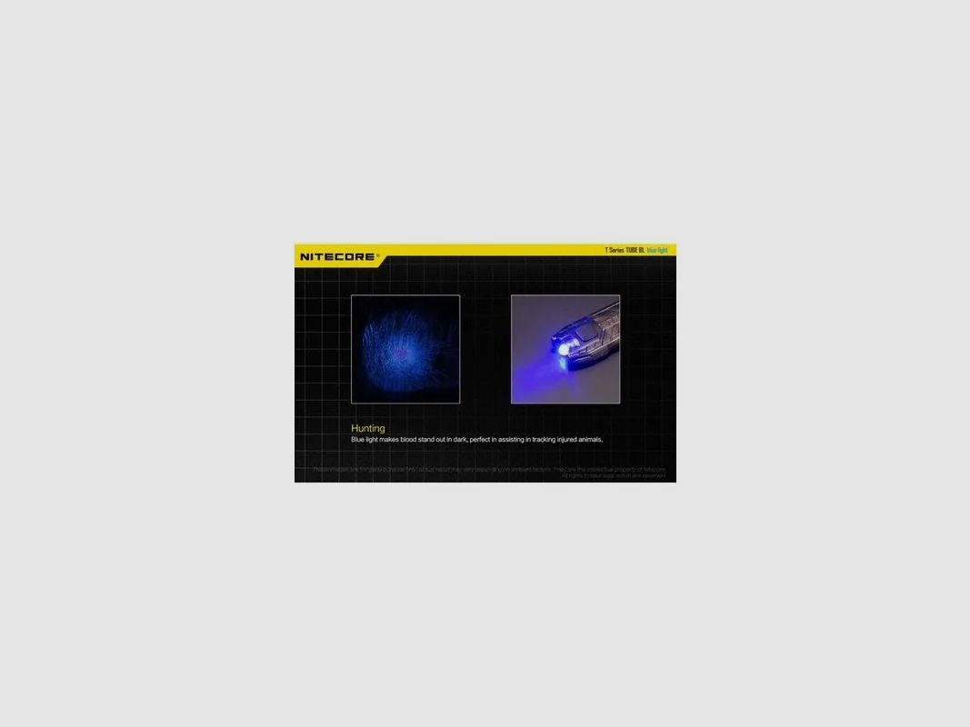 Nitecore TUBE BL blaue Taschenlampe, Bild 4 von 4