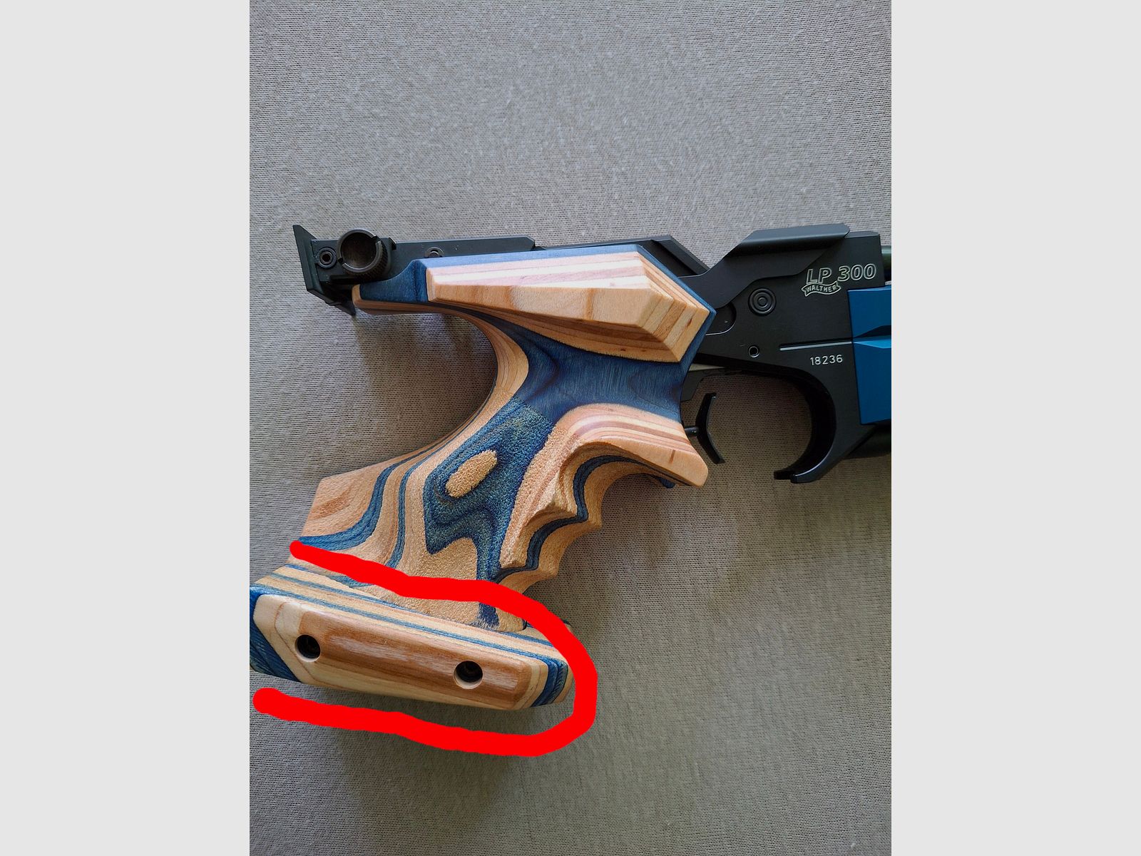 Walther LP 300