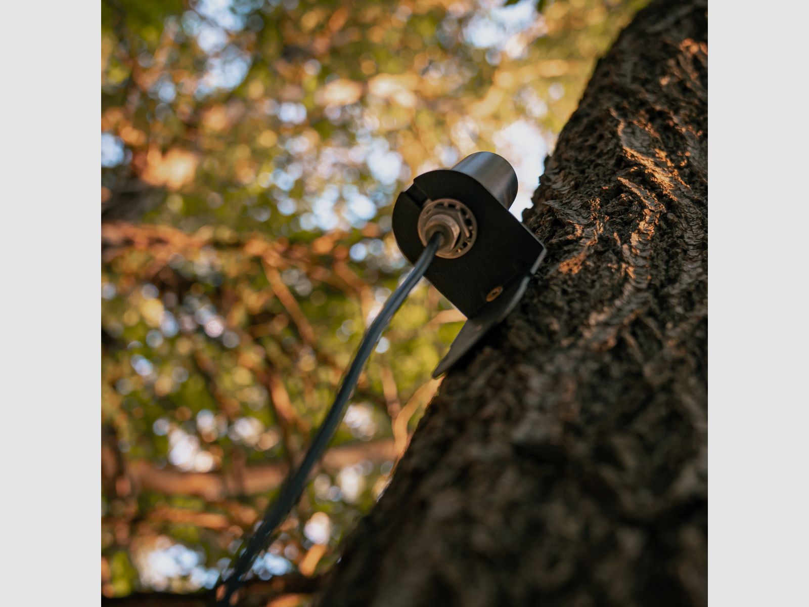 SPYPOINT Langstrecken-Mobilfunkantenne CA-01