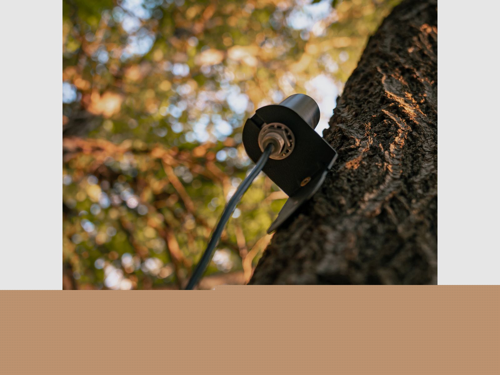 SPYPOINT Langstrecken-Mobilfunkantenne CA-01