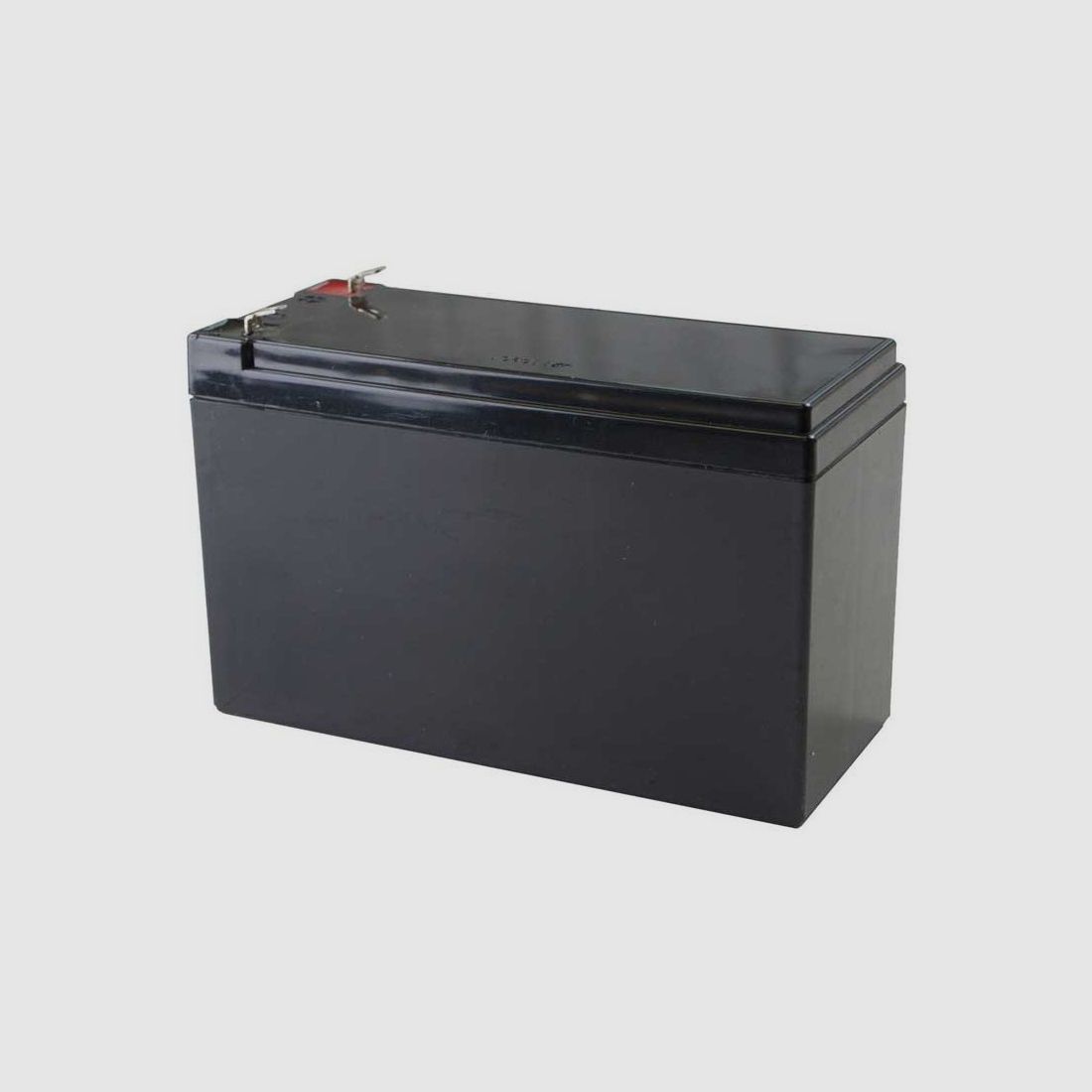 12V Batterij voor Voederautomaat