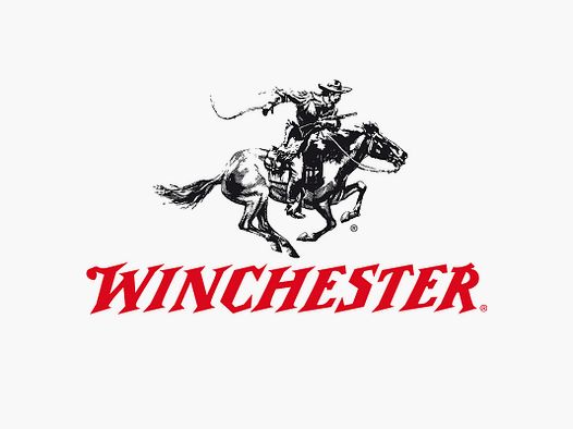 Winchester WinClean .357 Mag. 125GR JSP 50 Patronen