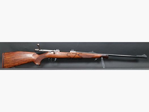 Zoli AZ1900 Luxus
