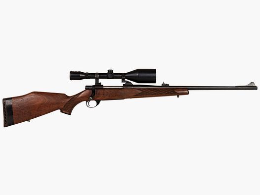 RWS 89 , ZF Nikko Nacht-Acht 8x56 Abs. 1, EAW-Schwenkmontage, .30-06Spring