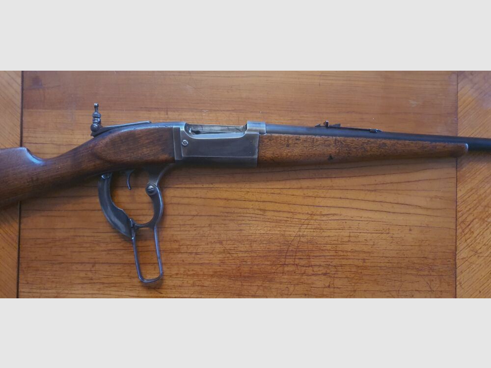 Savage 1899