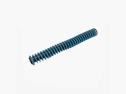 Conjunto CZ P-10F muelle recuperador