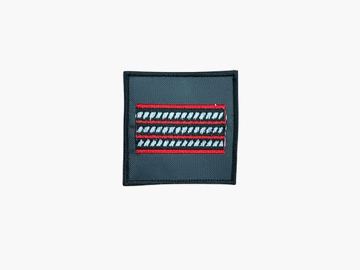 GUARDIA DI FINANZA – GRADE SCRATCH ASSISTANT SERGEANT (LOW VISIBILITY)