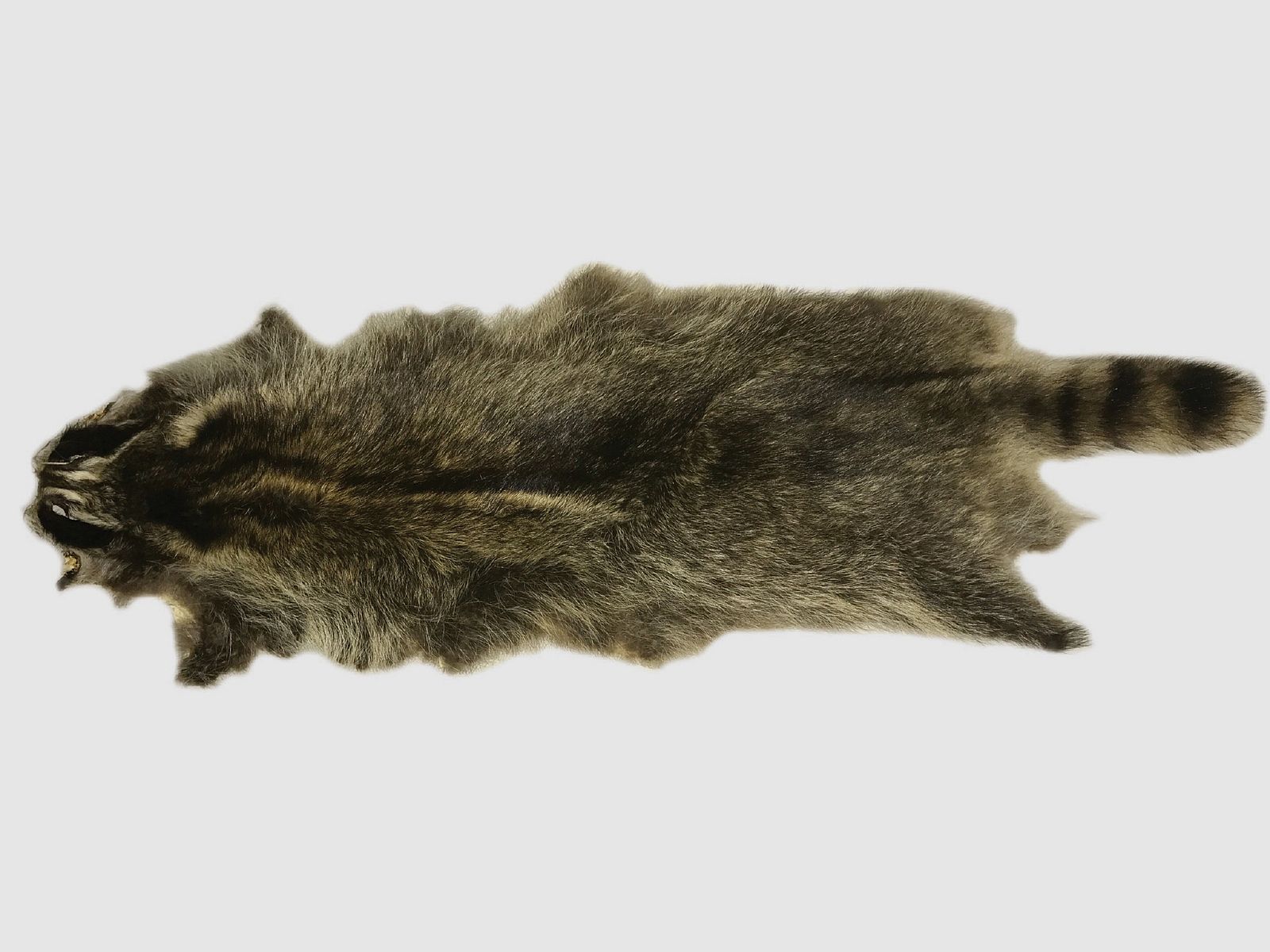 raccoon fur