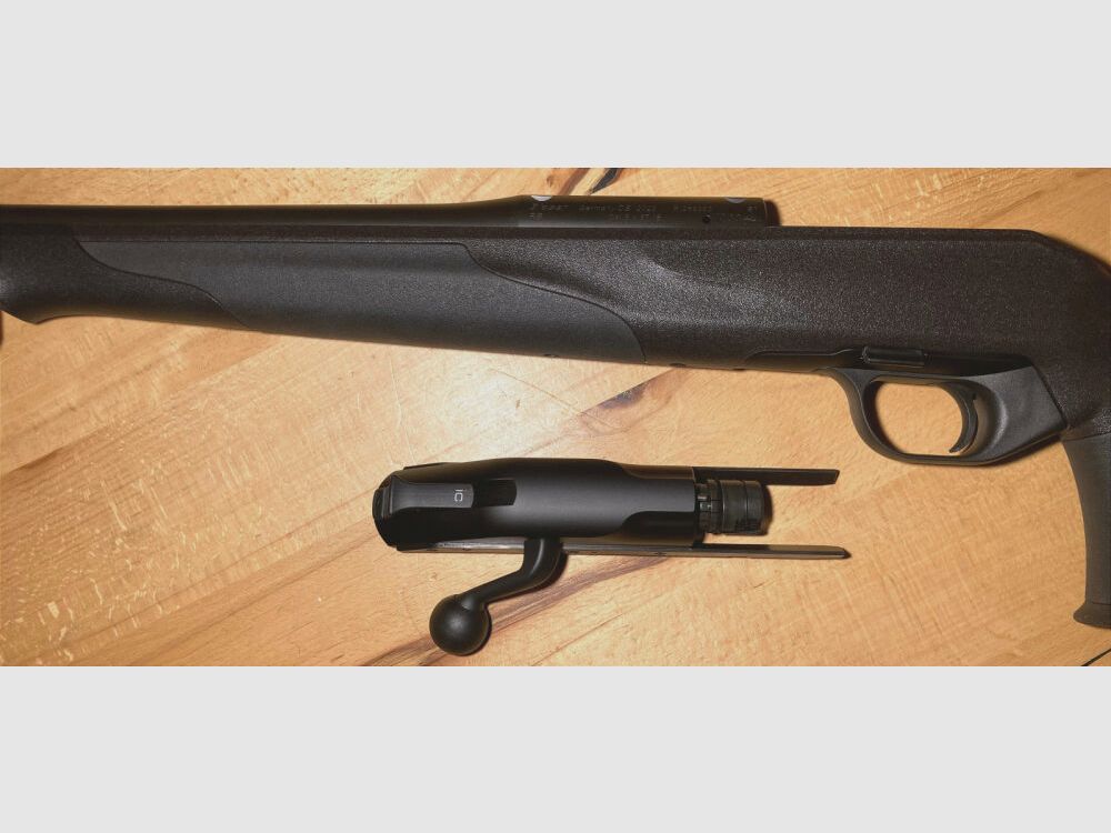 Blaser R8 Professional Success