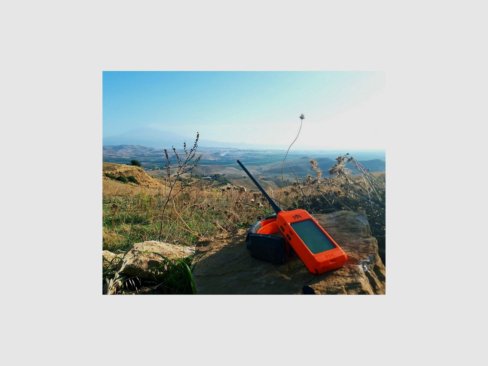 DOG TRACE X30T KIT HANDSCHLAUFE UND GPS-HALSBAND, Bild 7 von 9