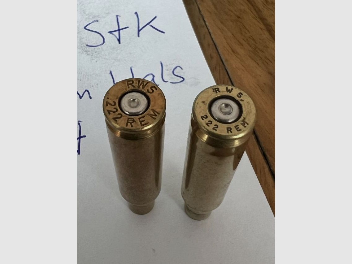 Cases .222 Rem. from RWS + Sako