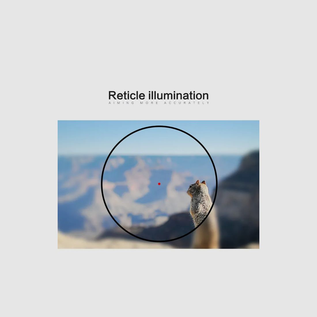 Red dot sight / Red dot