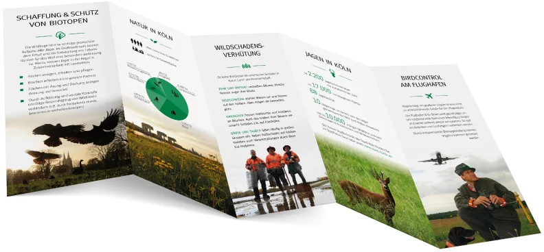 Roll-ups Relations Publiques, image 4 sur 4