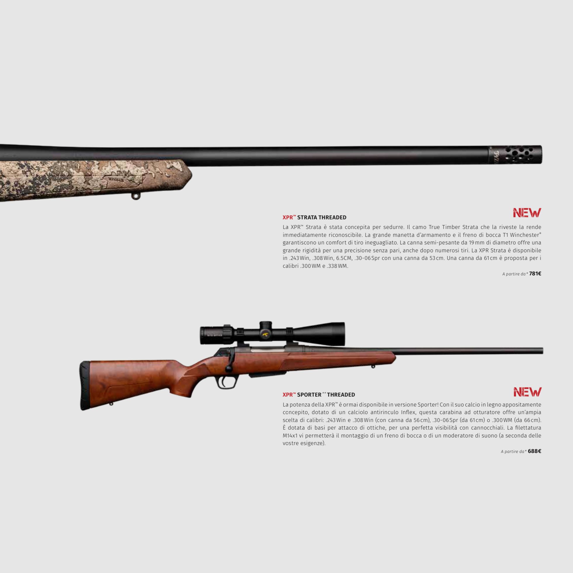 WINCHESTER / FUCILI POMPA -CARABINE BOLT ACTION – A LEVA/ TUTTI I MODELLI, immagine 13 di 18
