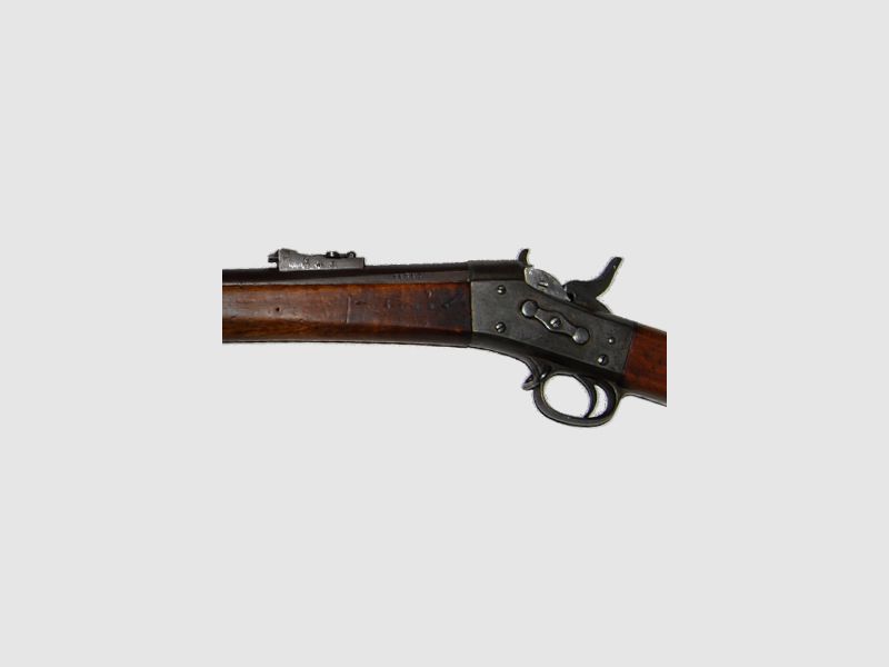 M1867 Sweden Military, image 4 sur 4