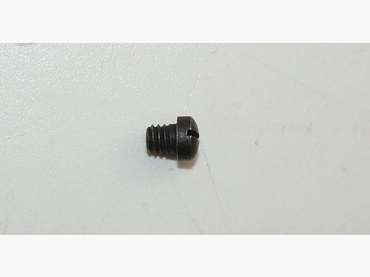 Fabbrica d'armi di Berna Vite della molla del coperchio di carico usata per il revolver d'ordinanza svizzero 1882