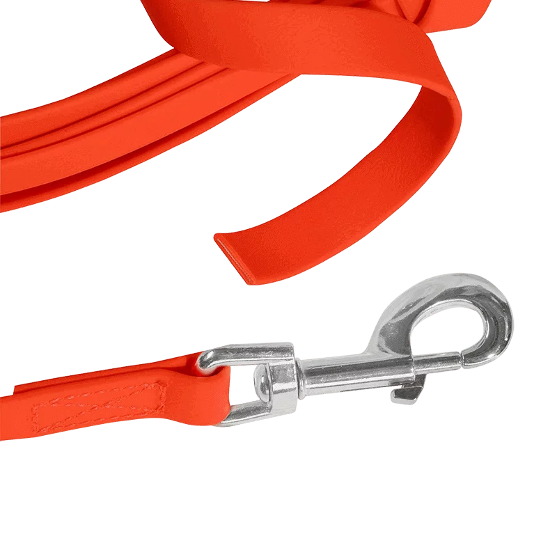 Laisse de suivi pour chien professionnel (orange), image 2 sur 2