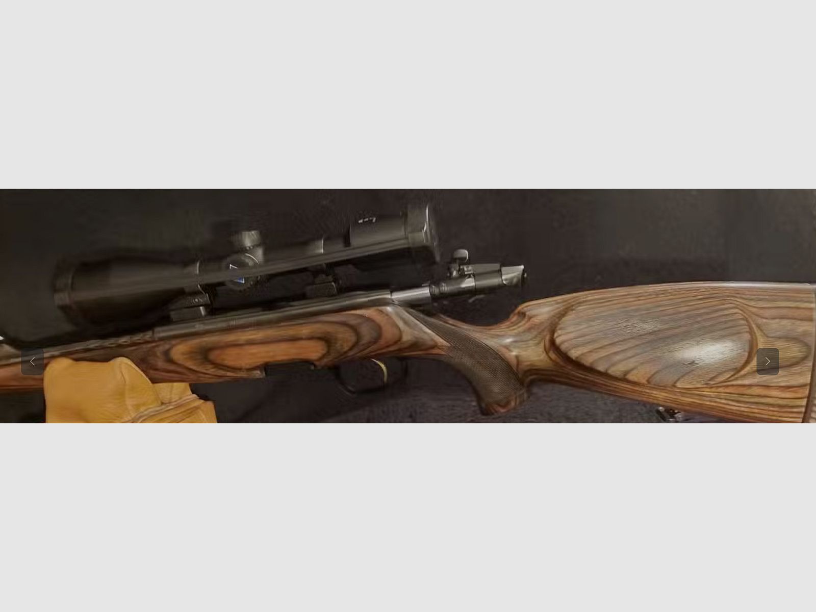 Steyr Mannlicher L .308Win Jagd