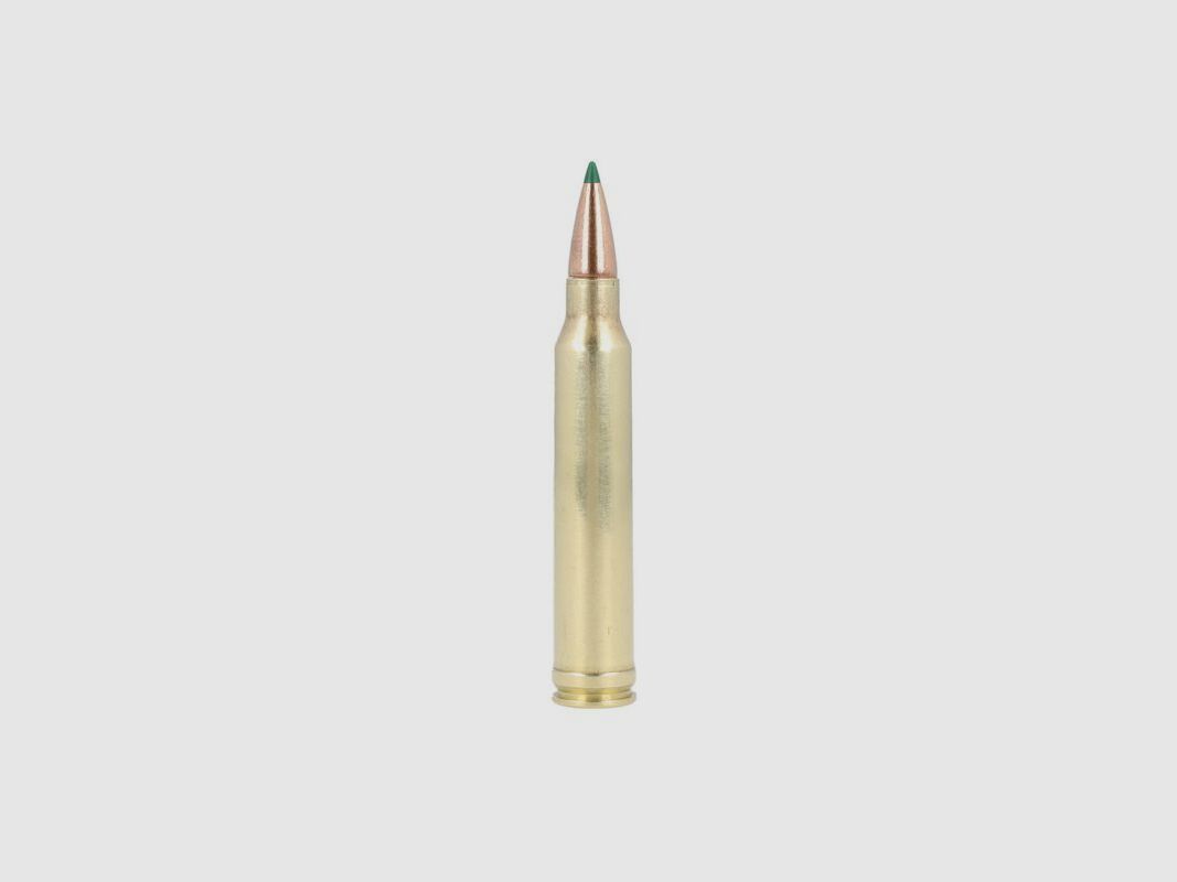 Remington Premier CuT Copper .300 Win. Mag. 180GR Tipped 20 Patronen