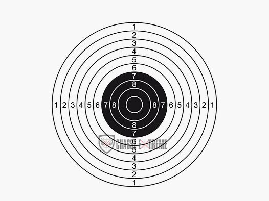Set of 100 Cardboard Targets 14 x 14 cm