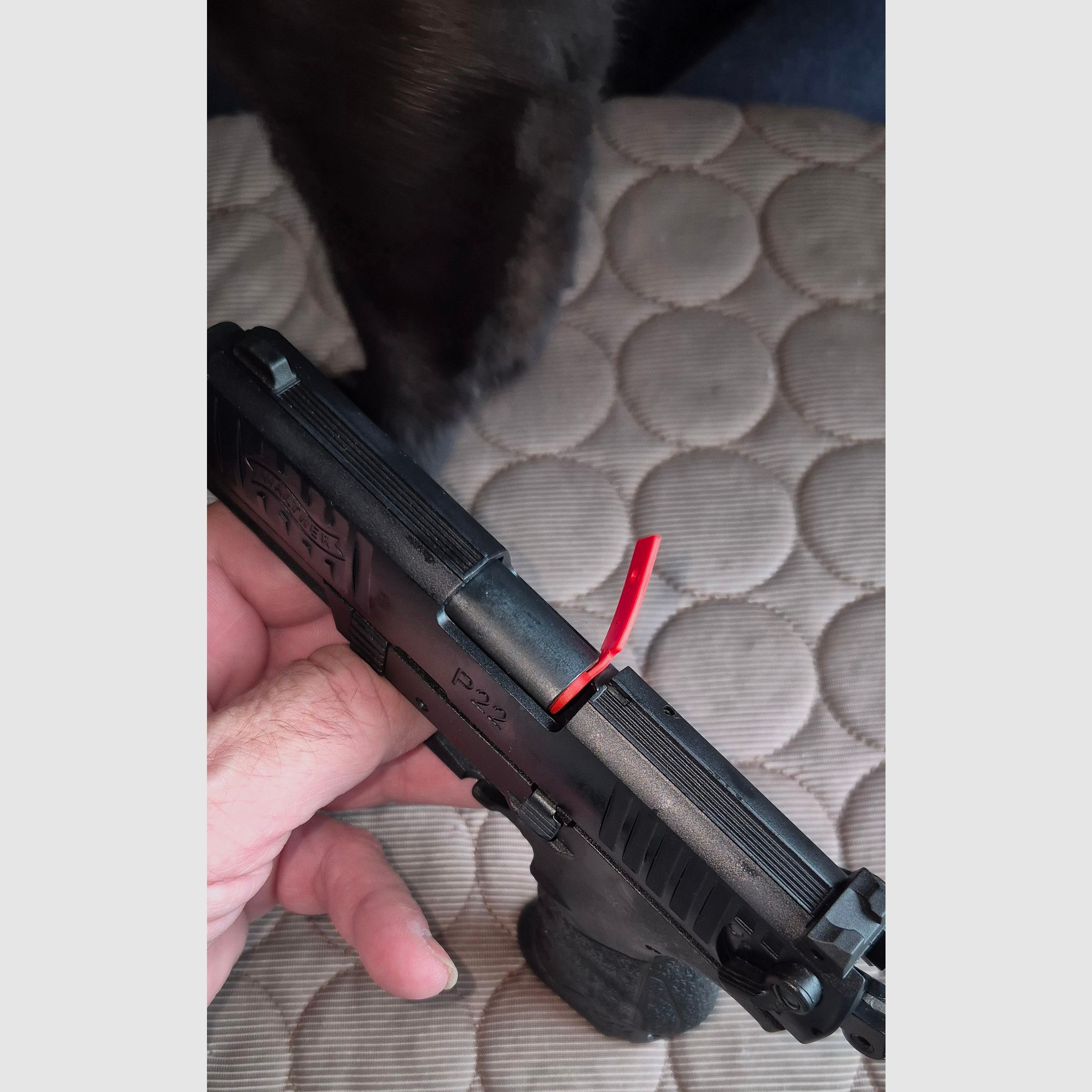 Blank firing gun Walther P22