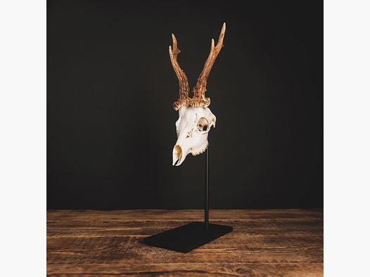 Waidmetall Trophystandaard voor Ree