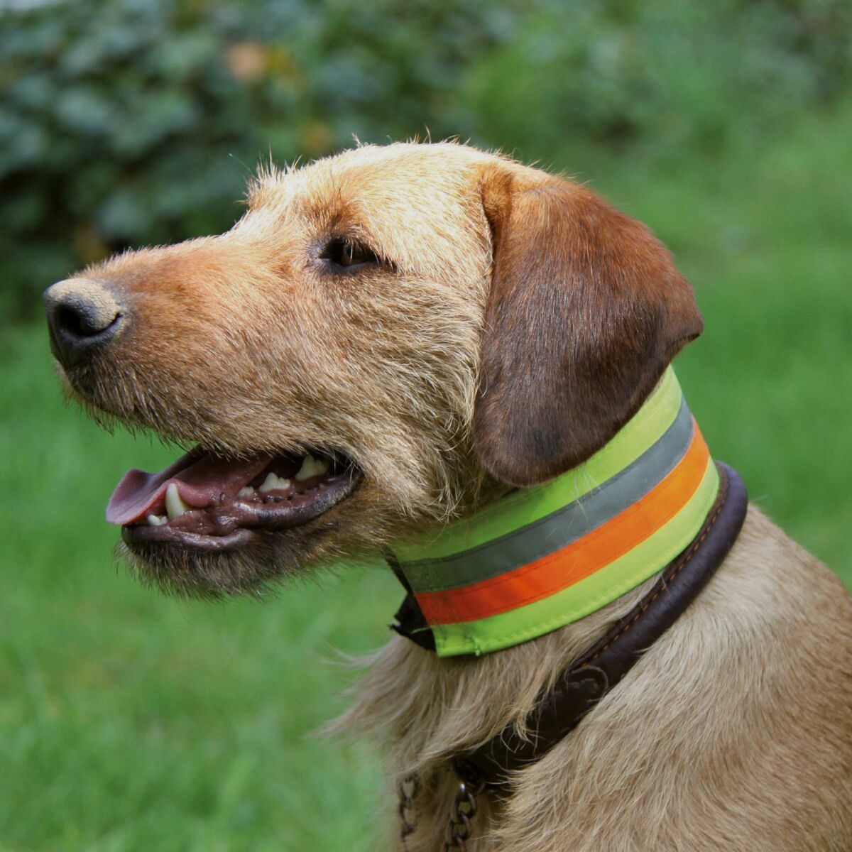 Reflective collar 55 cm | Width: 7 cm