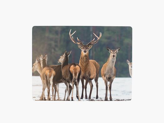Lovergreen art of the table motif placemats deer in the snow x 6