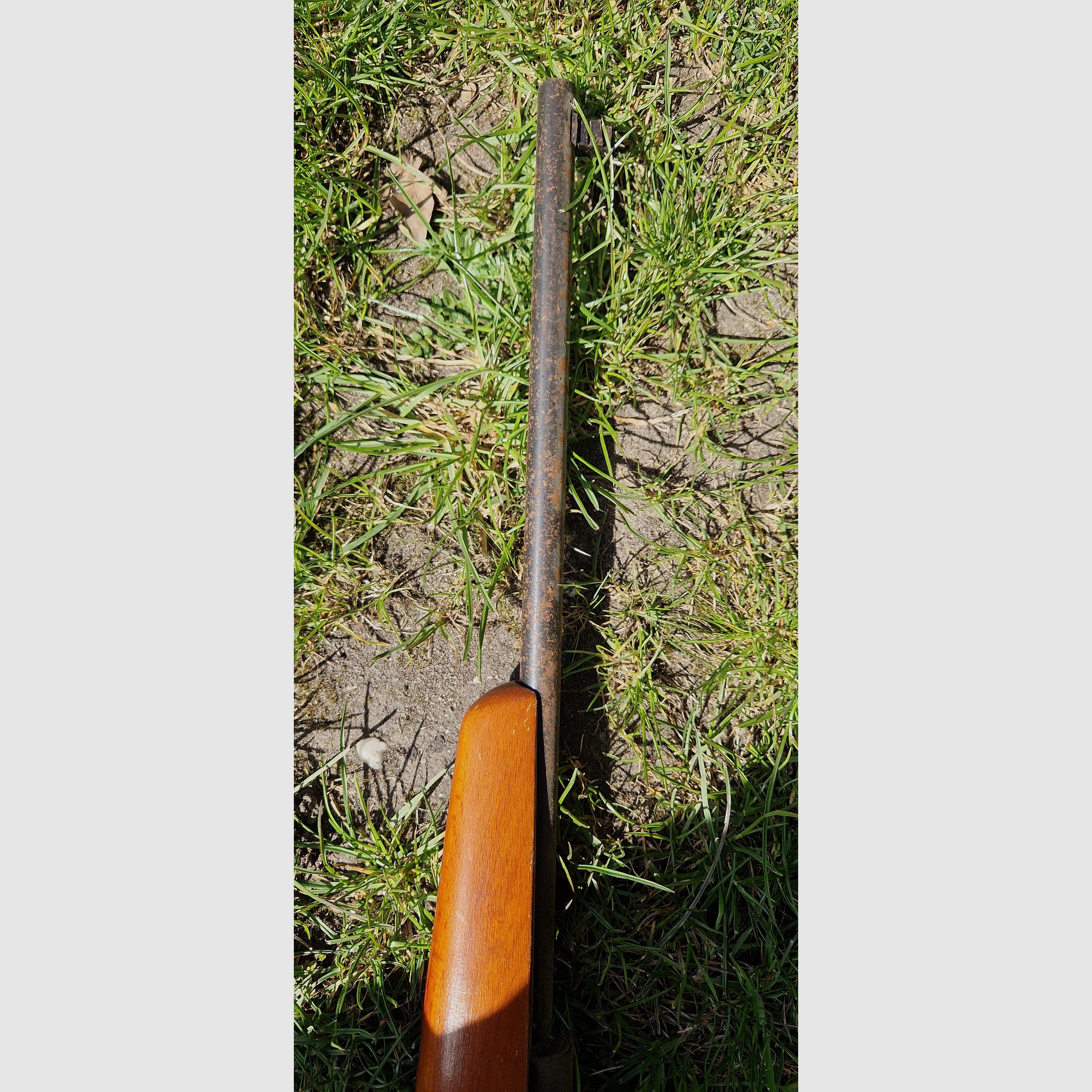 Luftgewehr Haenel Suhl 310