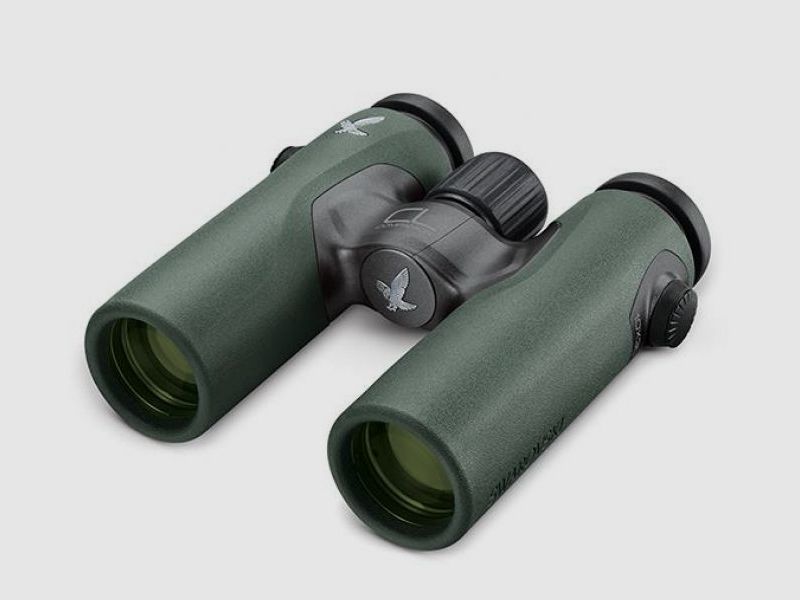 Swarovski CL Companion 8x30 B grün + WN Wild Nature Zubehörpaket