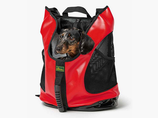 3 in 1 - Zaino Borsa da Viaggio Letto