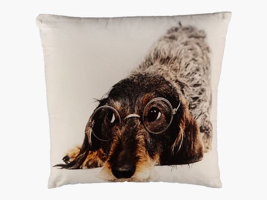 Kissen Dackel mit Brille 50x50 cm