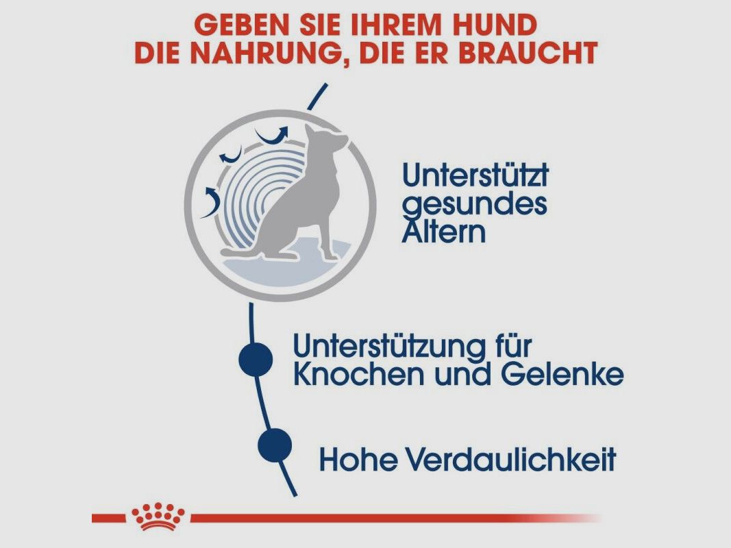 ROYAL CANIN Ältere Große Hunde Nassfutter Maxi Ageing 8+ 10x140 g