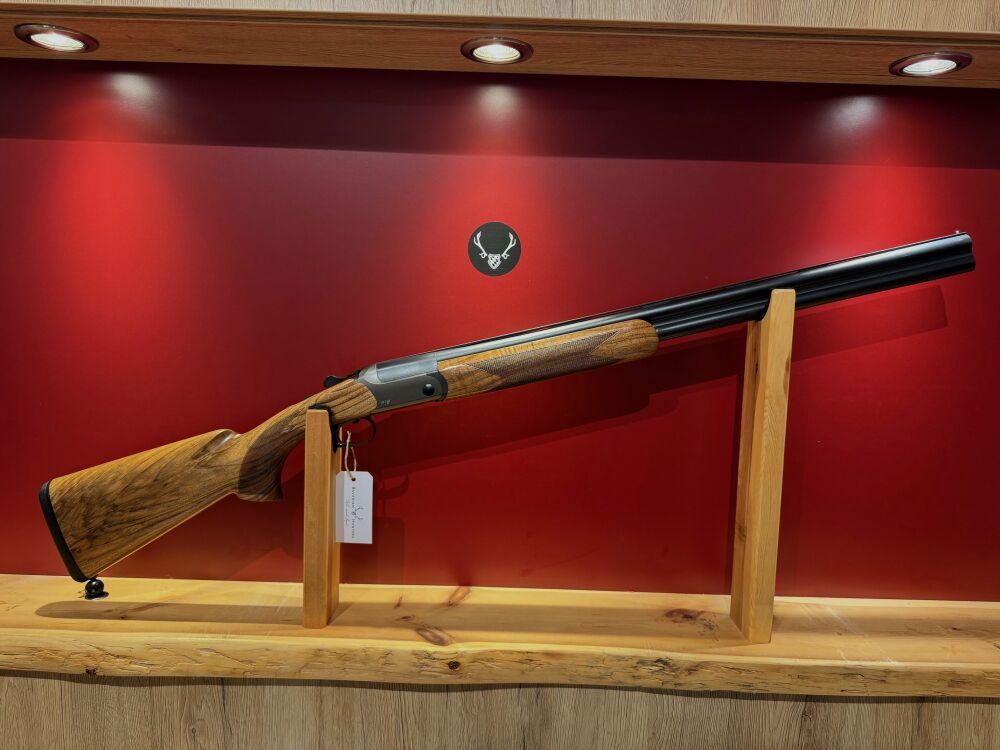 Blaser F16 Game