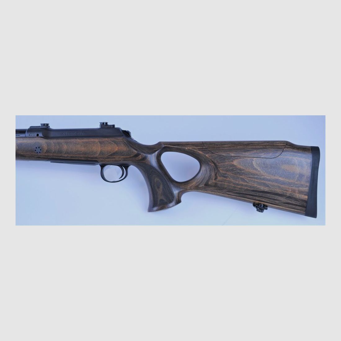 Sauer S101 Silence GTI