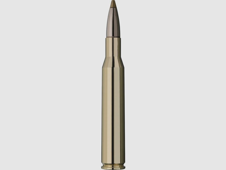 RWS Evo Green Cartucce - Cal. 270 Win, immagine 2 di 4