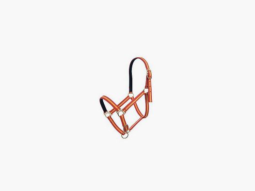Bridon double en nylon sans mousqueton