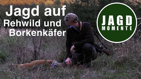 JagdMomente | Folge 9 | Jagd auf Rehwild, Borkenkäfer & Rotwild im Spätsommer