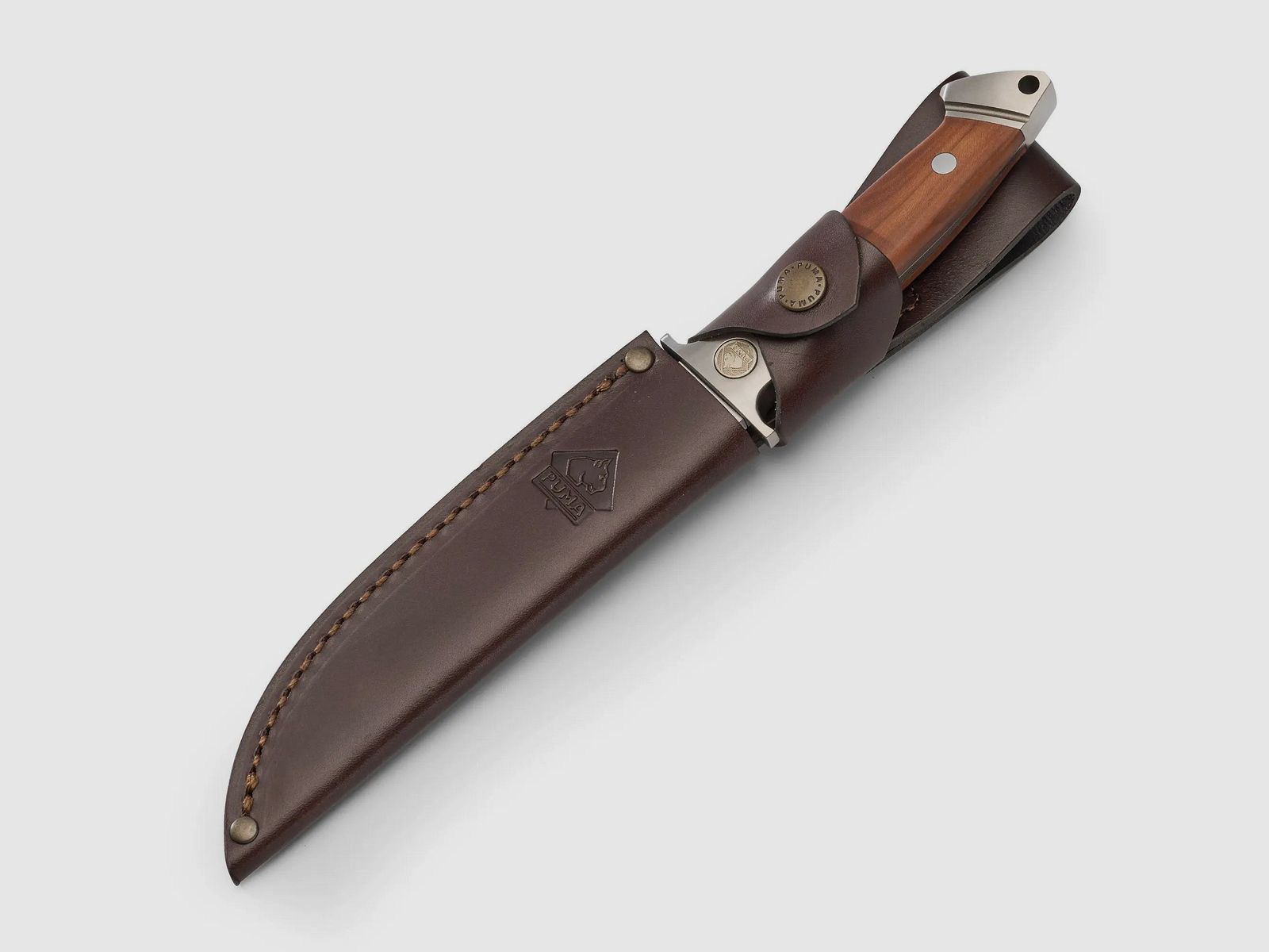 PUMA cougar, wood