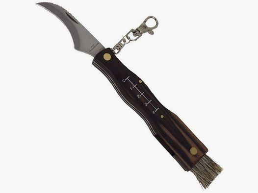 Pilzmesser braun m. Bürste