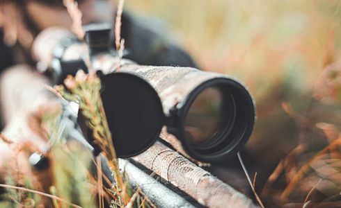 Das richtige Zielfernrohr für die Jagd
