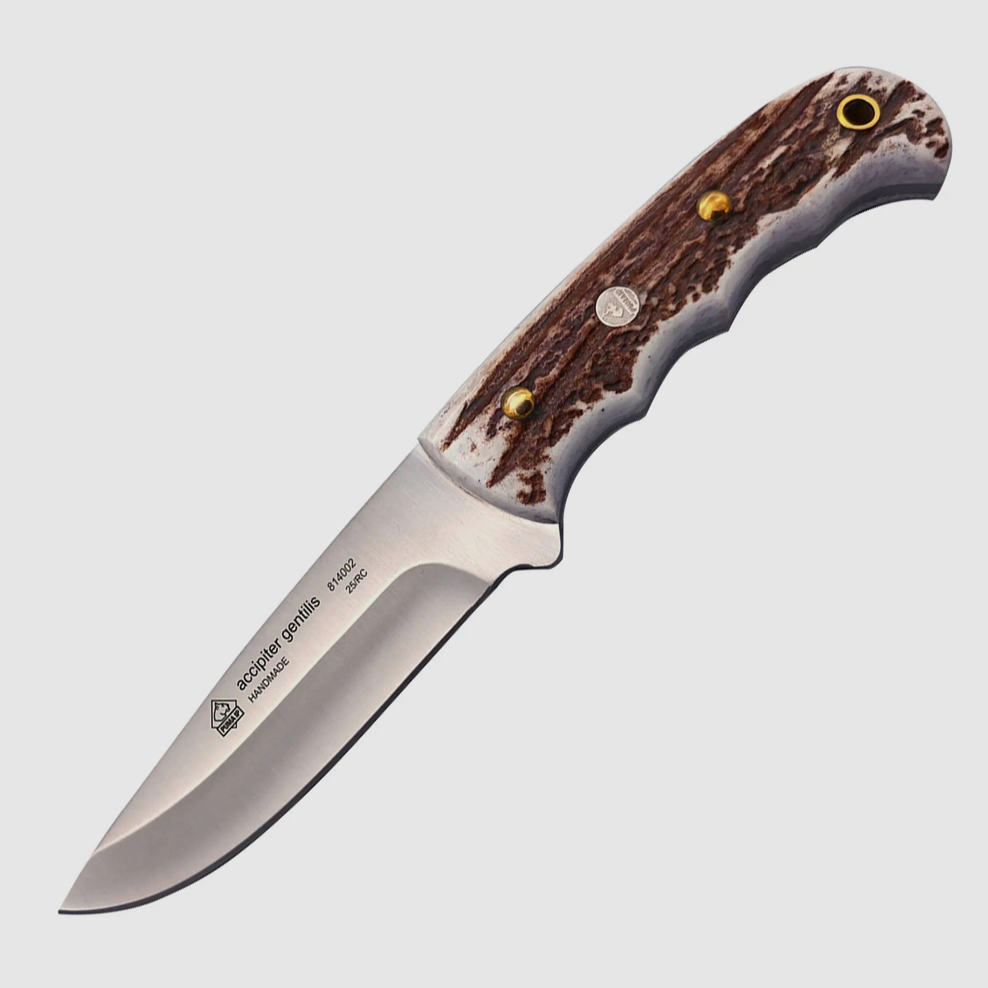 PUMA IP accipiter gentilis