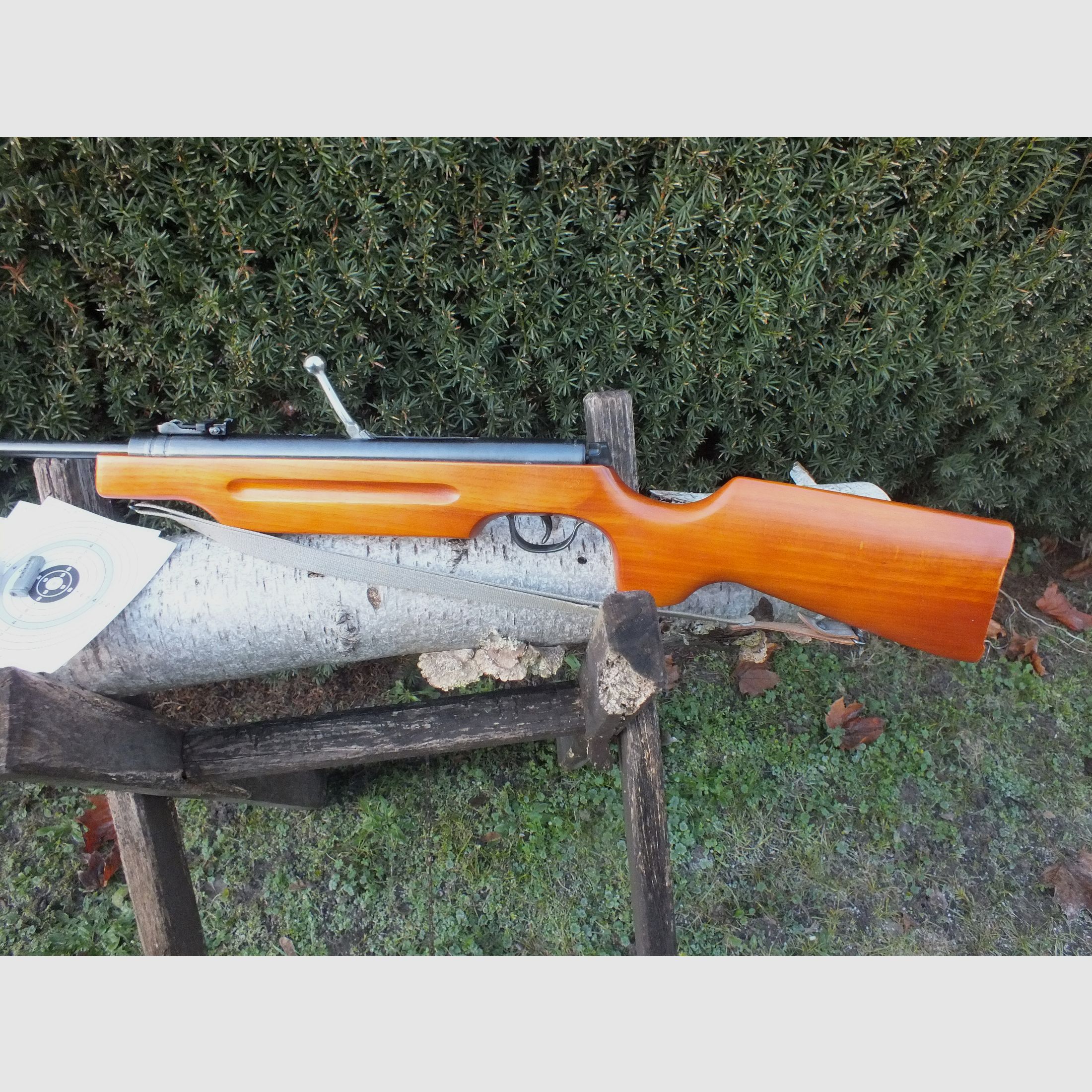 Fucile ad aria compressa Haenel 310-4 con calcio sportivo