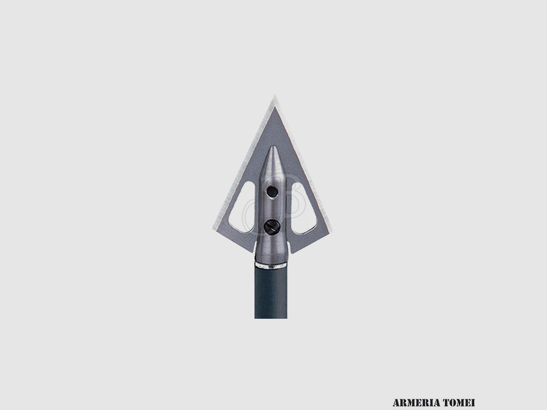 CARBON EXPRESS – JAGDSPITZE NATIV 100GR 3 ST.