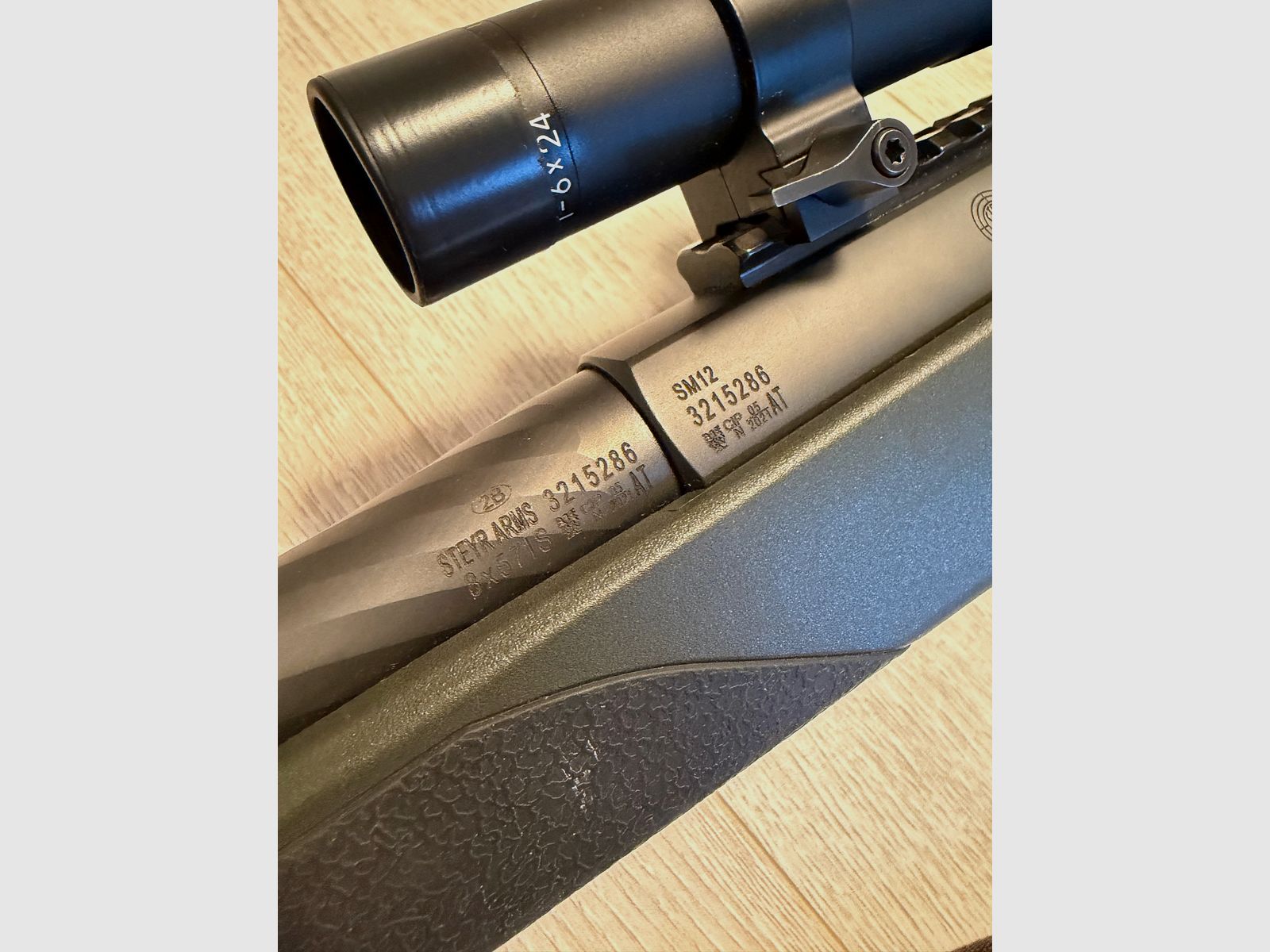 Steyr Arms SM12 SX