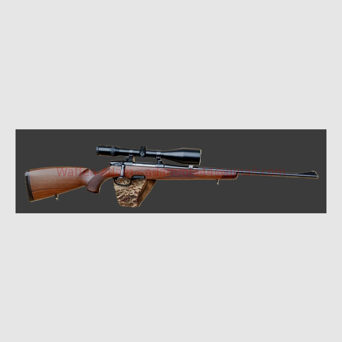 Steyr Mannlicher Model M var. Zeiss 3-12x56 Abs.4