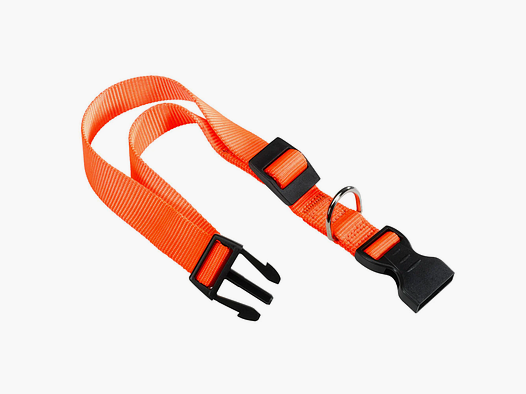 Orange Collar