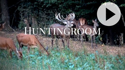 Hirschbrunft in Deutschland- A HUNTINGROOM Story #18