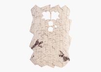 Minox DTC 460 Trail Camera Front Cover Birch