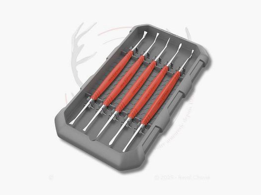 Reinigungsset Stahlspitzen Accu-Grip REAL AVID